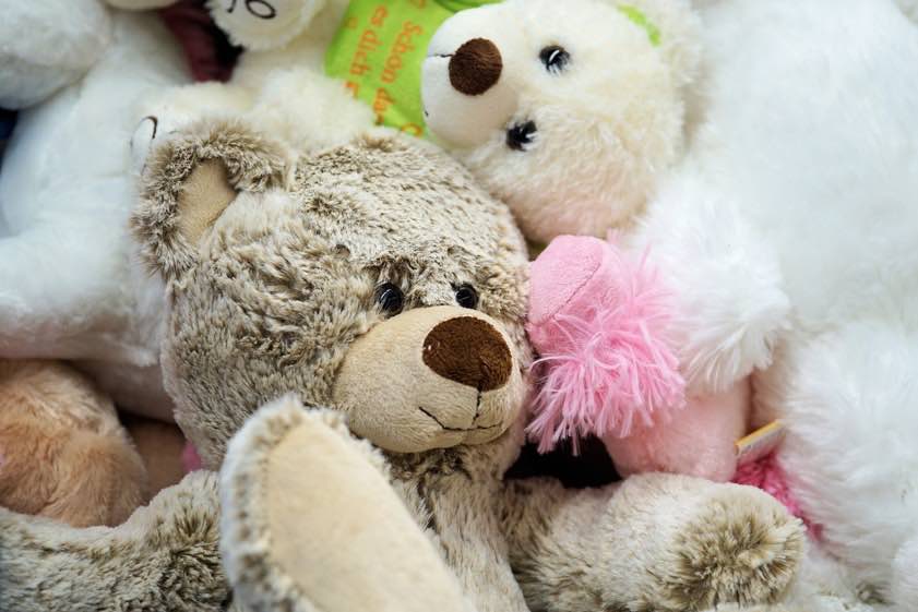 Animaux en peluche.