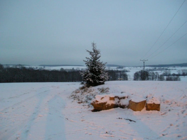 Retour vers l'enfance: promenades en famille dans la neige à Frankenberg, Saxe.