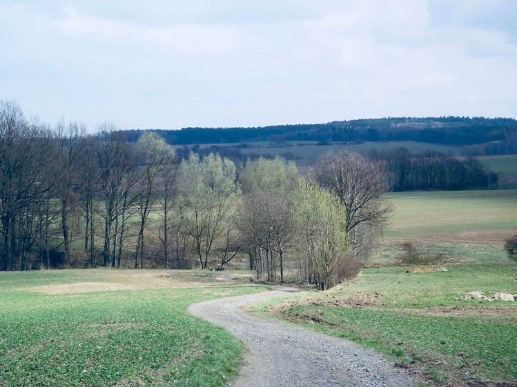 Retour vers l'enfance: promenades dans le Lützeltal à Frankenberg, Saxe.