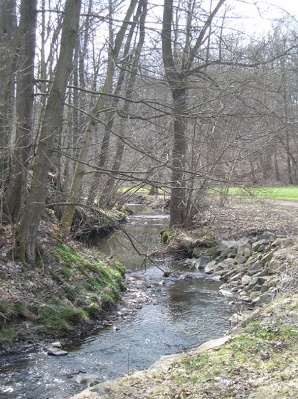 Retour vers l'enfance: promenades en famille dans la forêt du Lützeltal à Frankenberg, Saxe.
