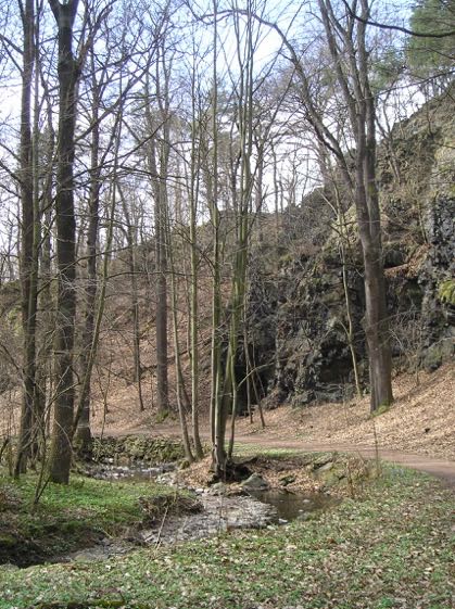 Retour vers l'enfance: promenades en famille dans la forêt du Lützeltal à Frankenberg, Saxe.