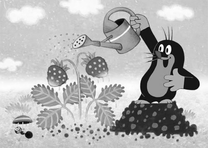 La Petite Taupe, dessin animé tchèque diffusé à partir de 1957.