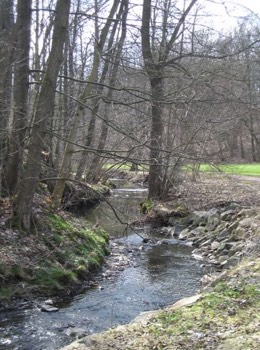  Retour vers l'enfance: promenades en famille dans la forêt du Lützeltal à Frankenberg, Saxe. 