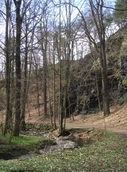 Retour vers l'enfance: promenades en famille dans la forêt du Lützeltal à Frankenberg, Saxe.