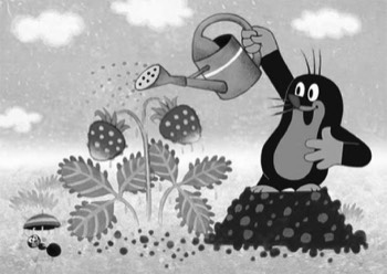  La Petite Taupe, dessin animé tchèque diffusé à partir de 1957. 